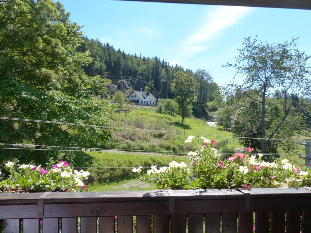 Bizoni Dvur Hotel Retenice Екстериор снимка